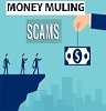 money-muling-scams